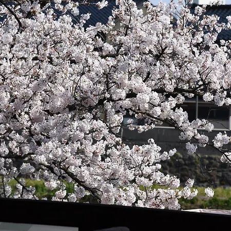 Japanese Machiya Private Asanogawa Holiday home